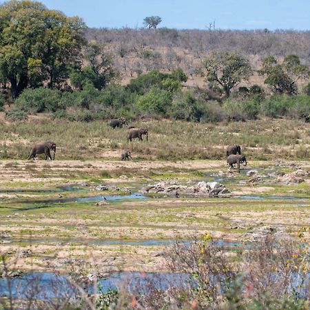 Foxy Crocodile Bush Lodge & Kruger Safari'S - No Loadshedding Marloth Park Extérieur photo