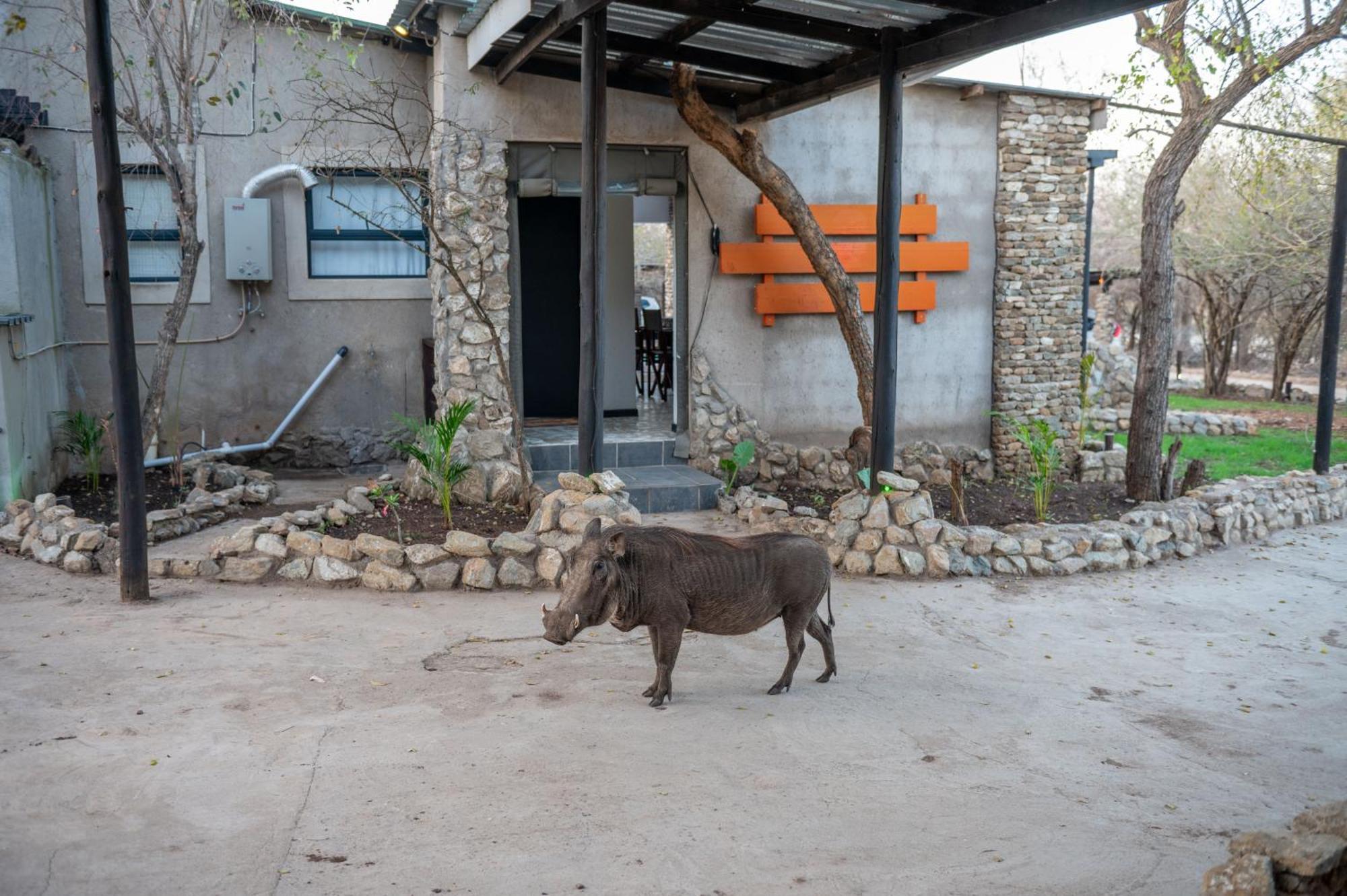 Foxy Crocodile Bush Lodge & Kruger Safari'S - No Loadshedding Marloth Park Extérieur photo