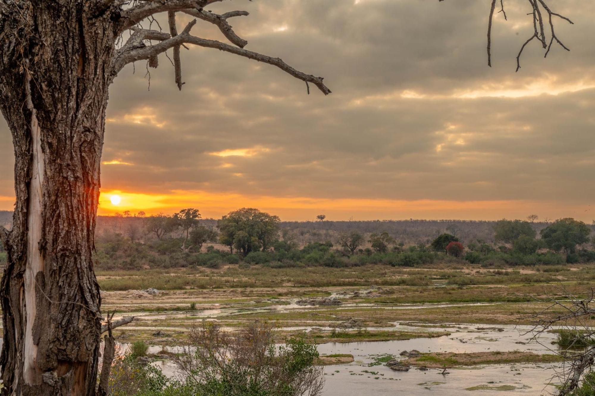 Foxy Crocodile Bush Lodge & Kruger Safari'S - No Loadshedding Marloth Park Extérieur photo